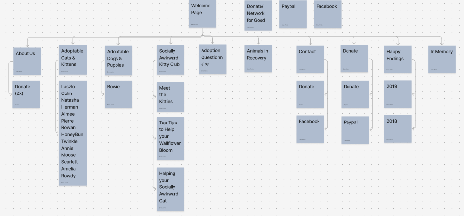 organizing the data